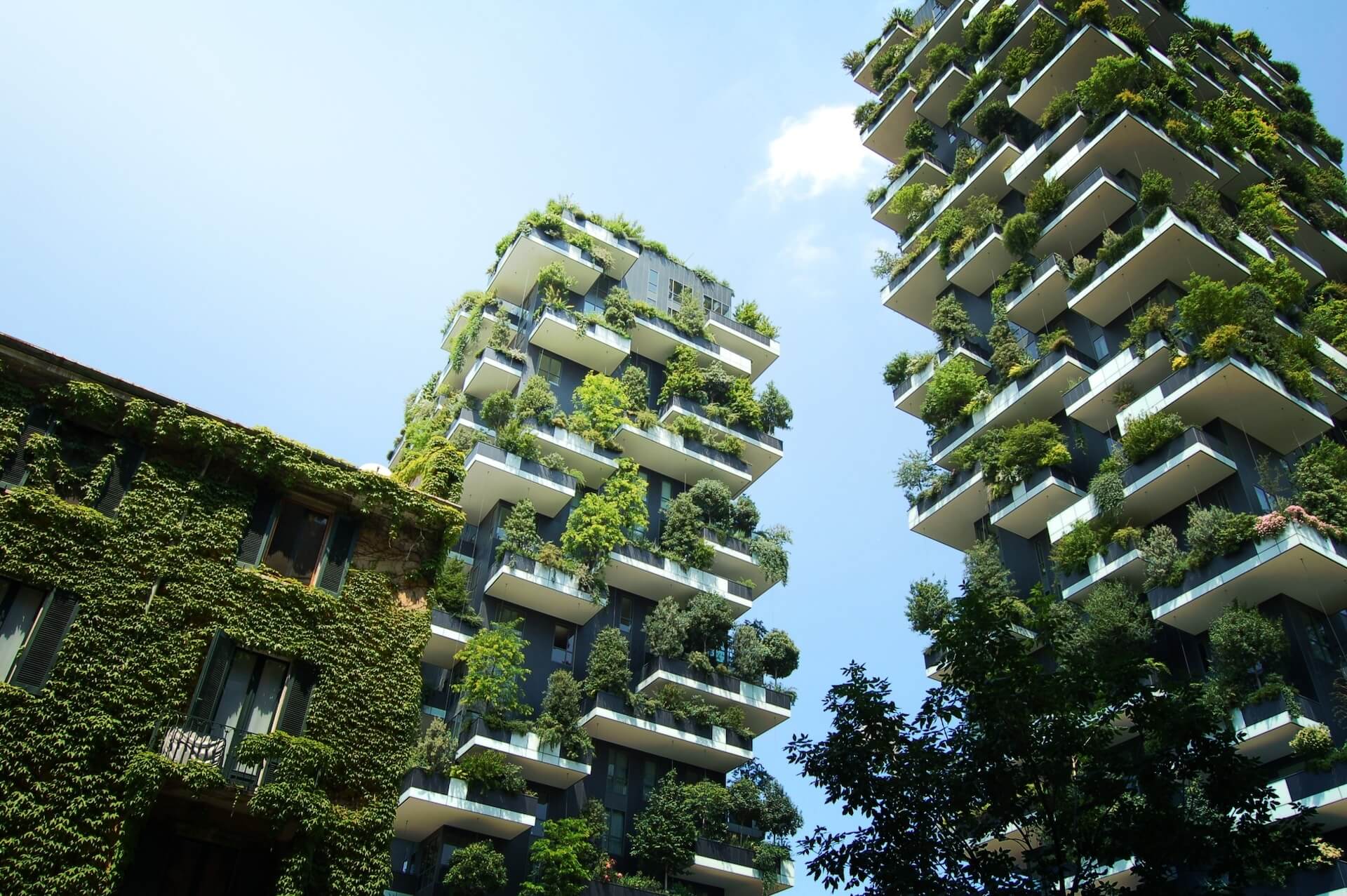 urges urban regeneration architecture and sustainability green economy