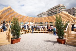 Arene_1
