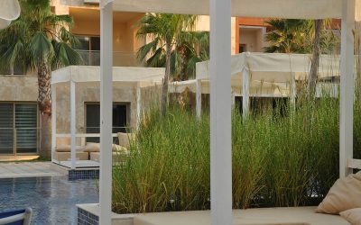 Cosa si intende per terrazza verde?