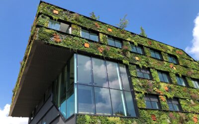 Materiali ecologici nell’architettura per una scelta consapevole