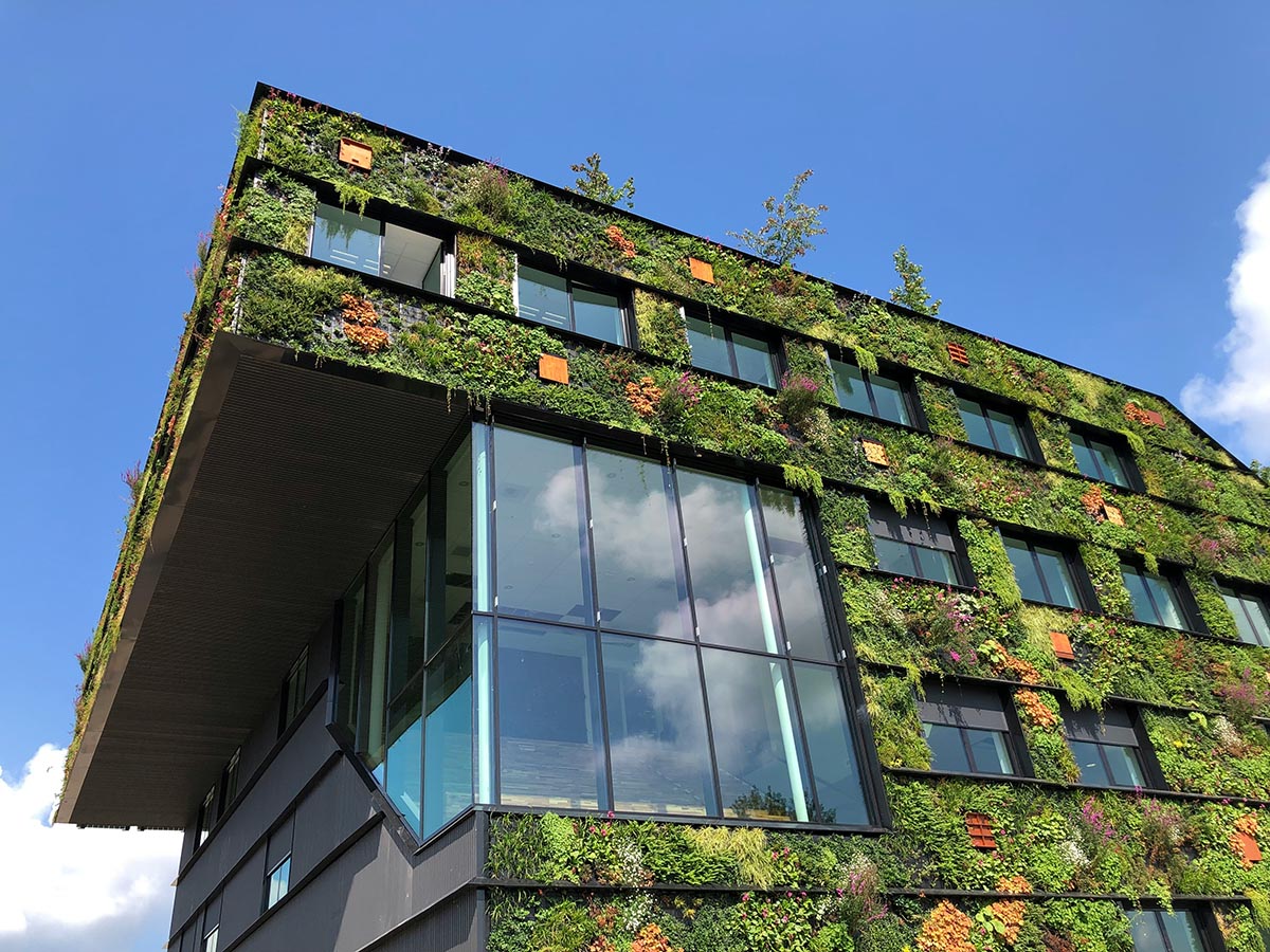 Materiali Ecologici nell'Architettura