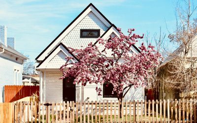 Housing Intergenerazionale: la rivoluzione del co-living