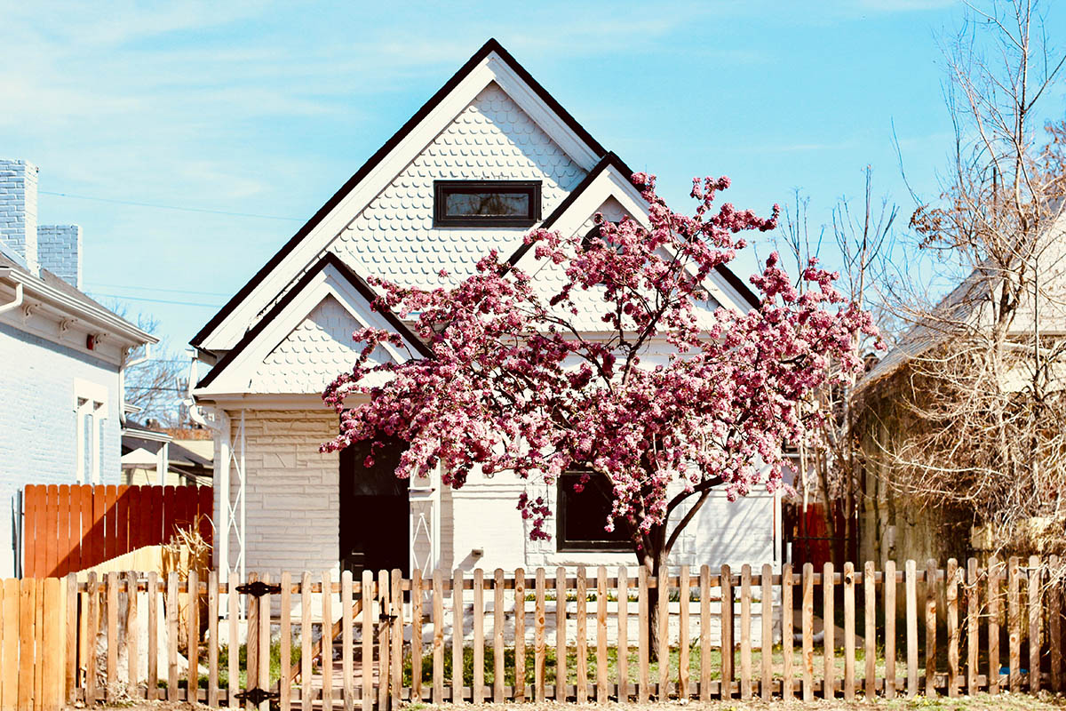 Housing Intergenerazionale