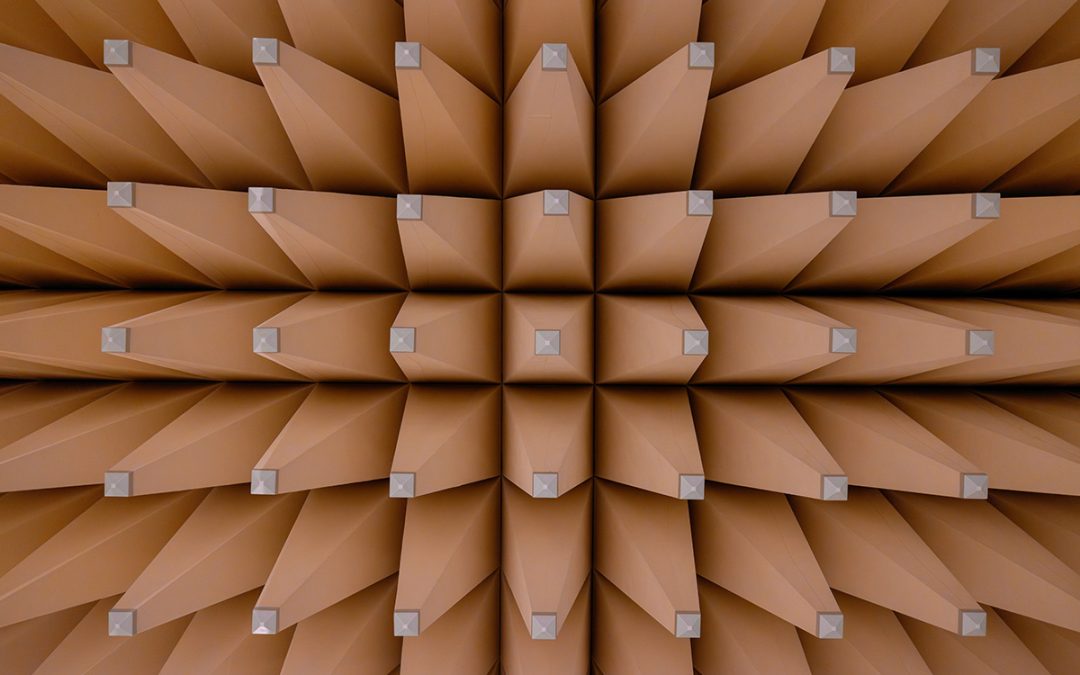 Materiali Bio-based: micelio, canapa e scarti di riso per il futuro Net Zero