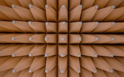 Home 4 Materiali Bio-based: micelio, canapa e scarti di riso per il futuro Net Zero