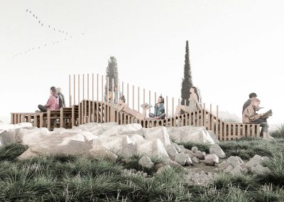 FeM-render-2